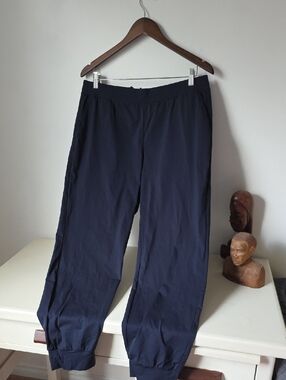 Uniqlo Navy Elastic Cuff Jogger Pants